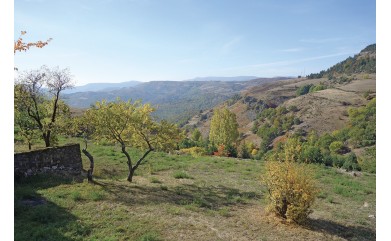 CHRONIQUES AGRICOLES Extrait de La Lozère agricole de Septembre 1897 Relevé par Christian BATAILLE