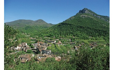 QUE LA MONTAGNE EST BELLE, suivi de L’ŒUVRE D’ARBRE Thierry RIBALDONE