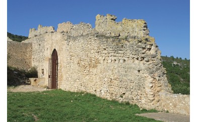 LE CASTELAS DE MONTPEYROUX ET SES SEIGNEURS (HERAULT) Thierry RIBALDONE