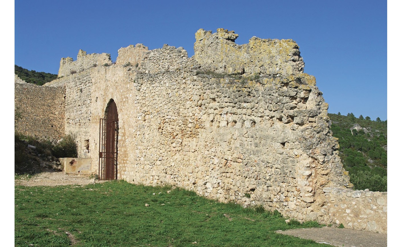 LE CASTELAS DE MONTPEYROUX ET SES SEIGNEURS (HERAULT) Thierry RIBALDONE