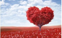 LA SAINT VALENTIN 2023