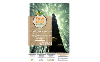 Concours photo « La forêt à votre image » jusqu’au 18 mai 
