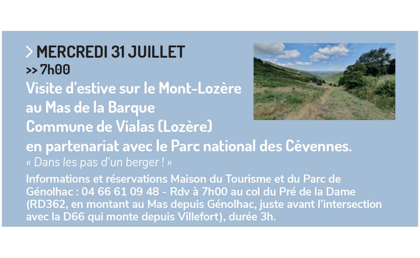 Visite d'estive sur le Mont-Lozère au Mas de la Barque à VIALAS (Lozère) 