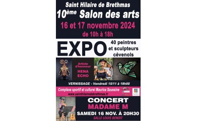 10ème Salon des Arts du 15 au 17 novembre 2024 Complexe sportif et culturel Maurice SAUSSINE