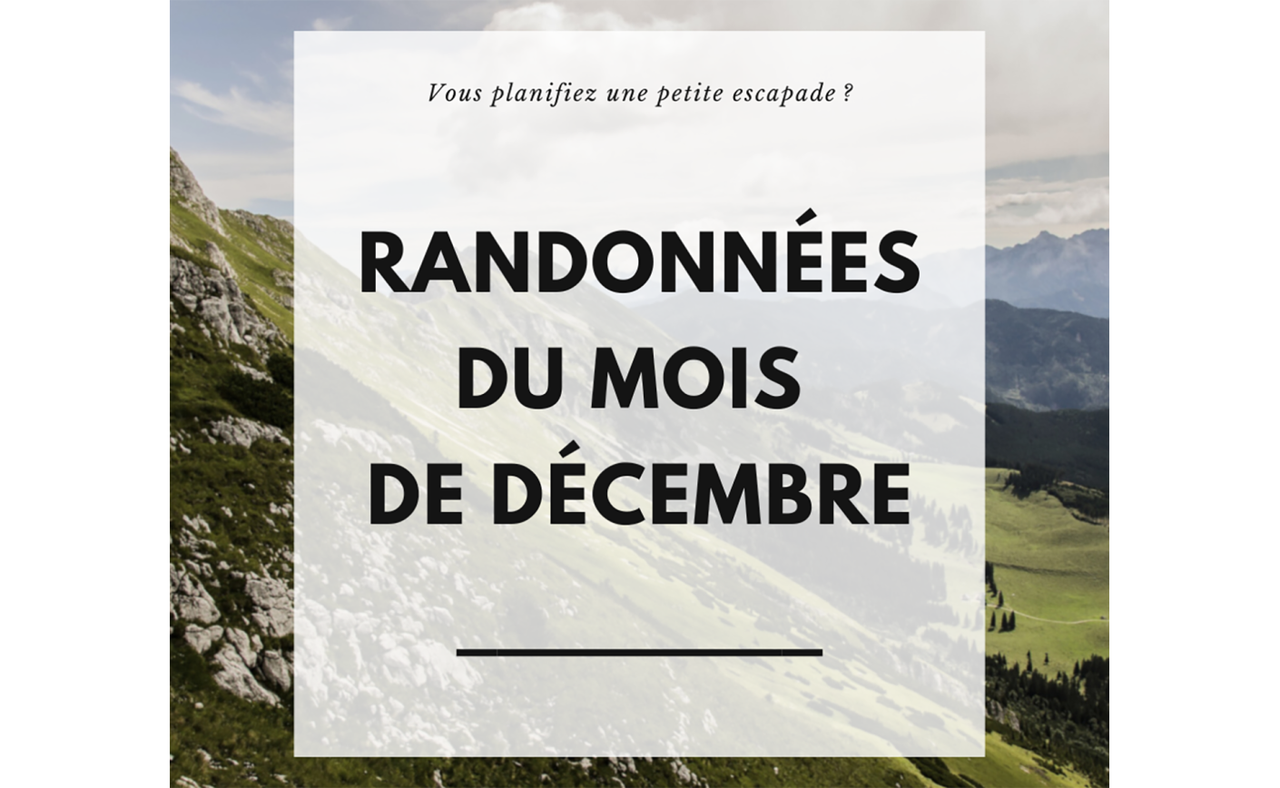 RANDONNÉES EN CÉVENNES - DÉCEMBRE 2024