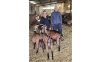 EARL LE VIGNAUDET, DES FROMAGES DE CHEVRES A BROUZET LES ALES
