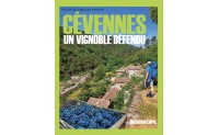 CÉVENNES, UN VIGNOBLE DÉFENDU - Association Histoire et Crapahutes