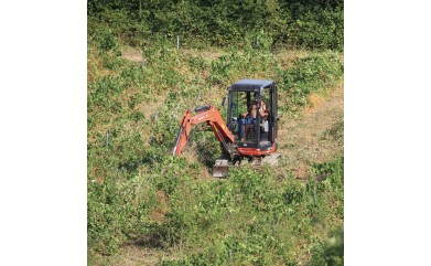 LA VIGNE NE PISSE PLUS ! Par Dominique GARREL