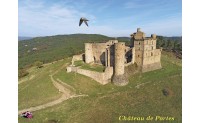 ﻿La lignée de l’aigle - Extrait du roman historique de J.A. Pachès