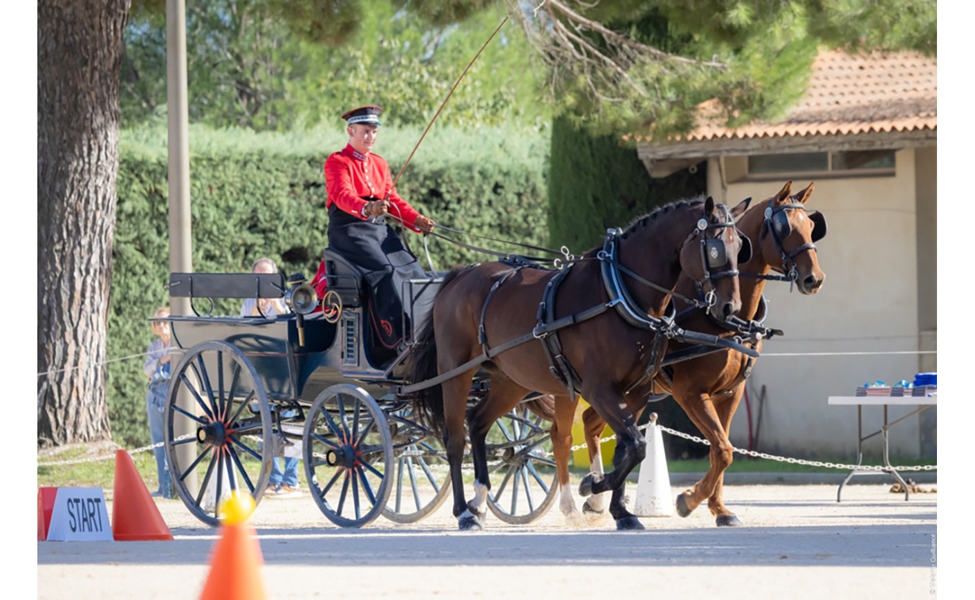 Journées Européennes du Patrimoine 2025  A la découverte des attelages patrimoniaux du Haras national d’Uzès