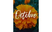 Chronique du temps qu'il fait et des saisons, des dictons, fêtes et traditions - OCTOBRE