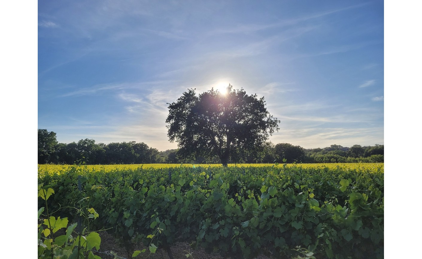 Réunion d’information auprès de la population de Servas, au sujet de l’agrivoltaïque.